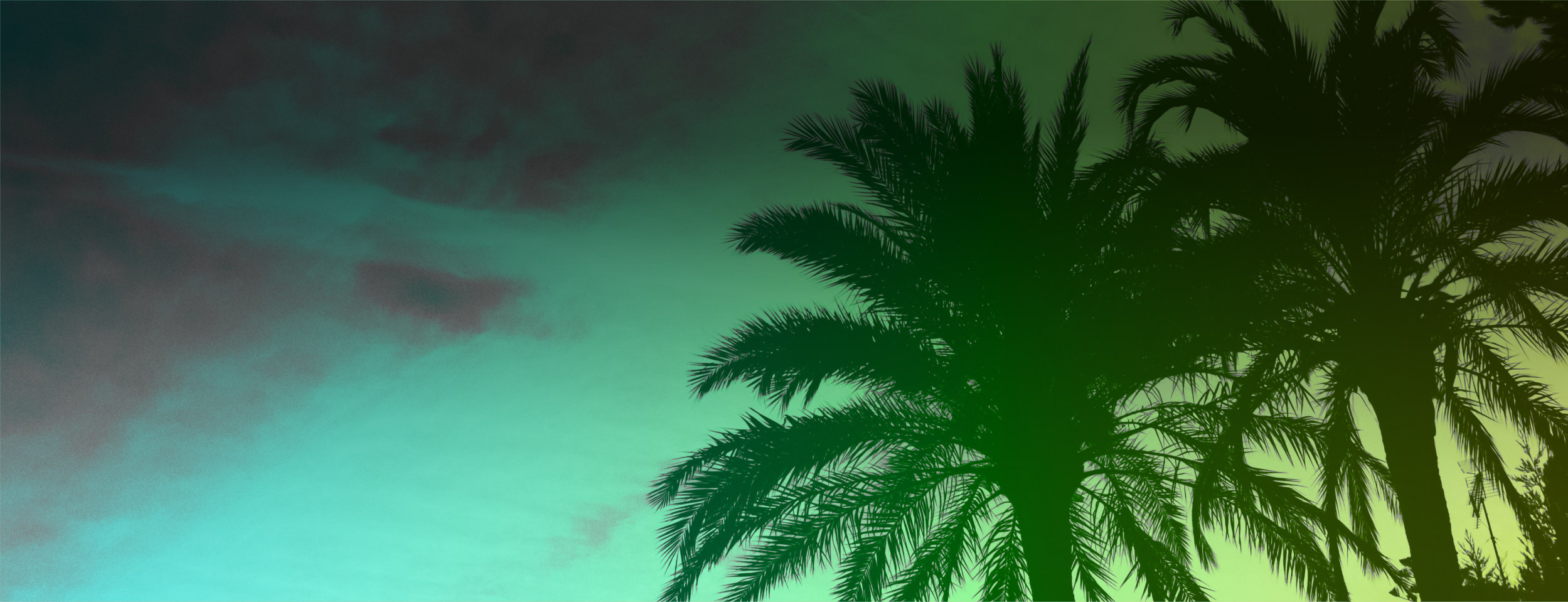 hiring background