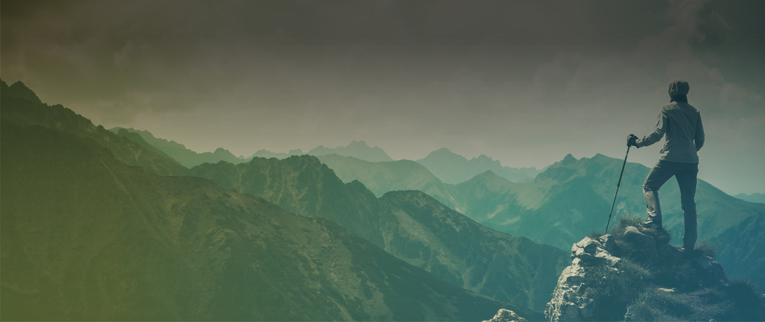 PDLH Team background